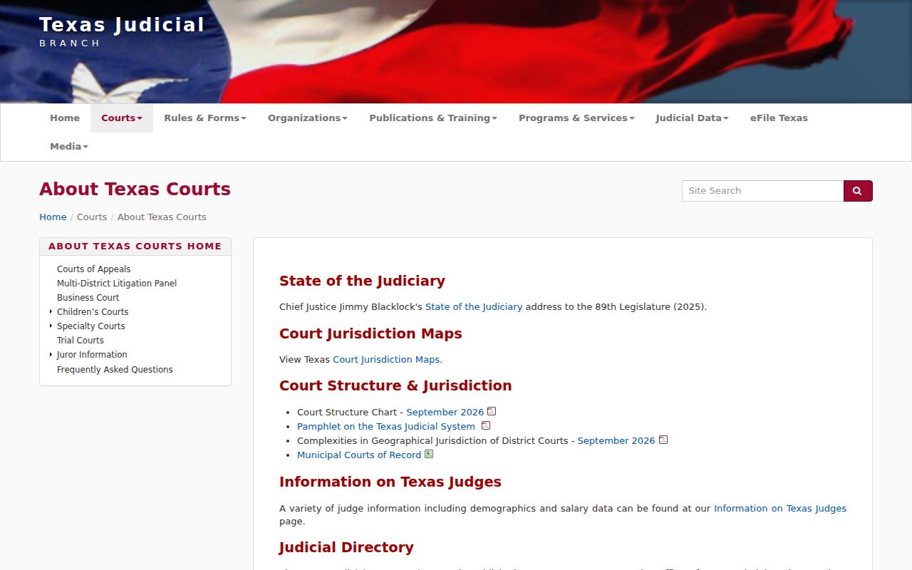 Gillespie County warrant records court-level reference from the Texas court hierarchy
